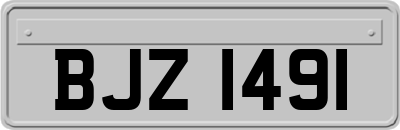 BJZ1491