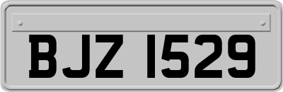 BJZ1529
