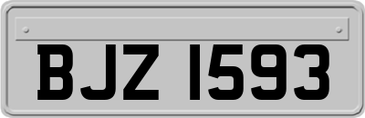 BJZ1593