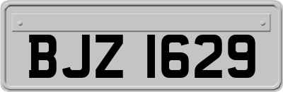 BJZ1629