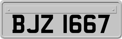 BJZ1667