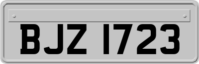 BJZ1723
