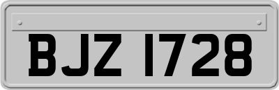 BJZ1728