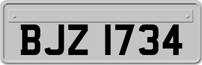 BJZ1734