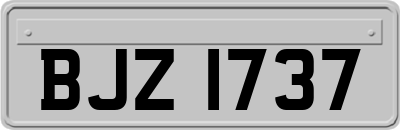 BJZ1737