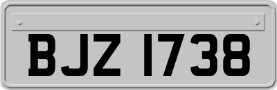 BJZ1738
