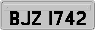 BJZ1742