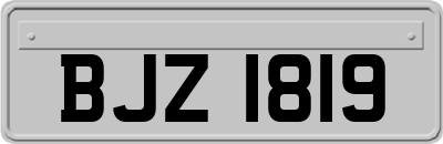 BJZ1819