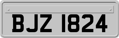 BJZ1824