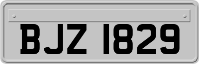BJZ1829