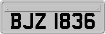 BJZ1836
