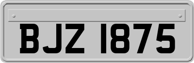BJZ1875