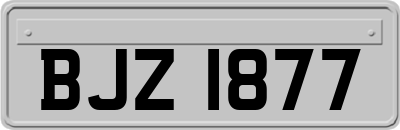 BJZ1877