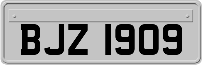 BJZ1909