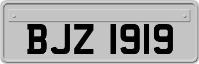 BJZ1919