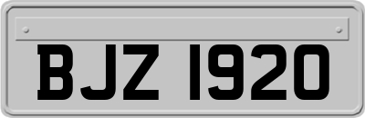 BJZ1920