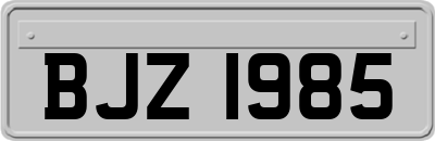 BJZ1985