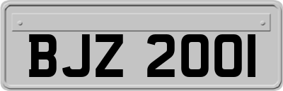 BJZ2001