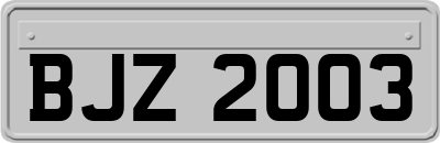 BJZ2003