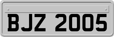 BJZ2005