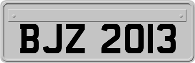 BJZ2013