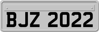 BJZ2022