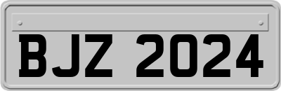 BJZ2024
