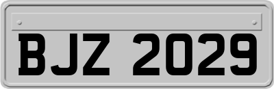 BJZ2029