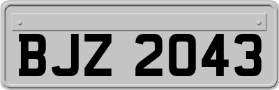 BJZ2043