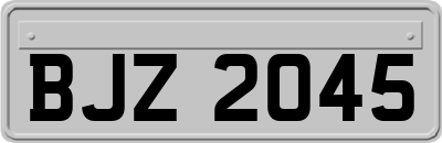 BJZ2045