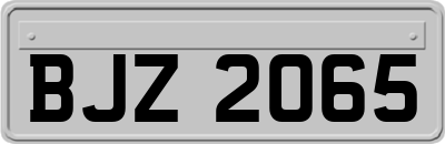 BJZ2065