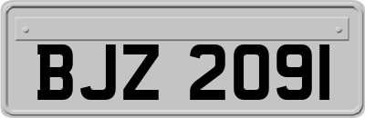 BJZ2091