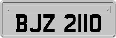 BJZ2110