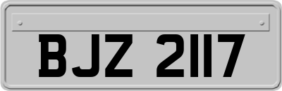 BJZ2117