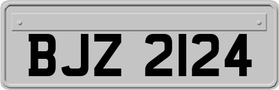 BJZ2124