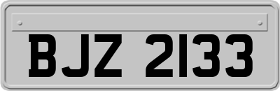 BJZ2133