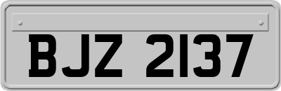 BJZ2137