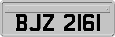 BJZ2161