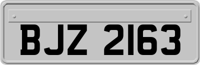 BJZ2163