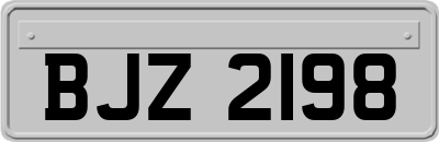 BJZ2198