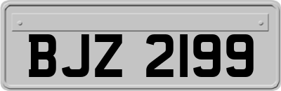 BJZ2199