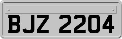 BJZ2204