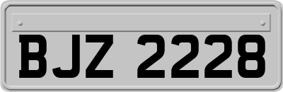 BJZ2228