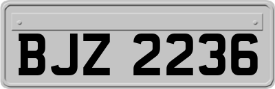 BJZ2236