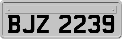 BJZ2239