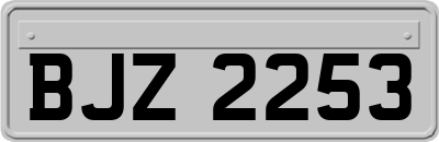 BJZ2253