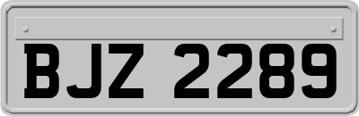 BJZ2289