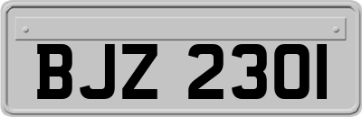 BJZ2301