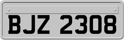 BJZ2308