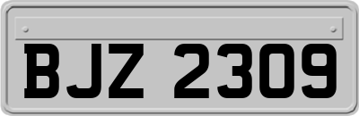 BJZ2309